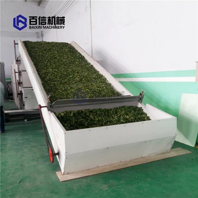 枇杷叶烘干机网带式枇杷叶干燥机连续式中药材烘干设备厂家