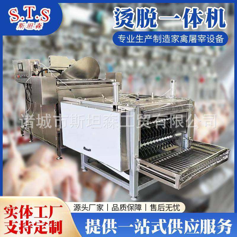 小产量鸽子屠宰线设备鸽子自动宰杀烫毛脱毛机鸽子烫脱一体机,畜牧/养殖物资,特种养殖设备,淘宝优惠券,粉丝福利购,淘宝优惠卷