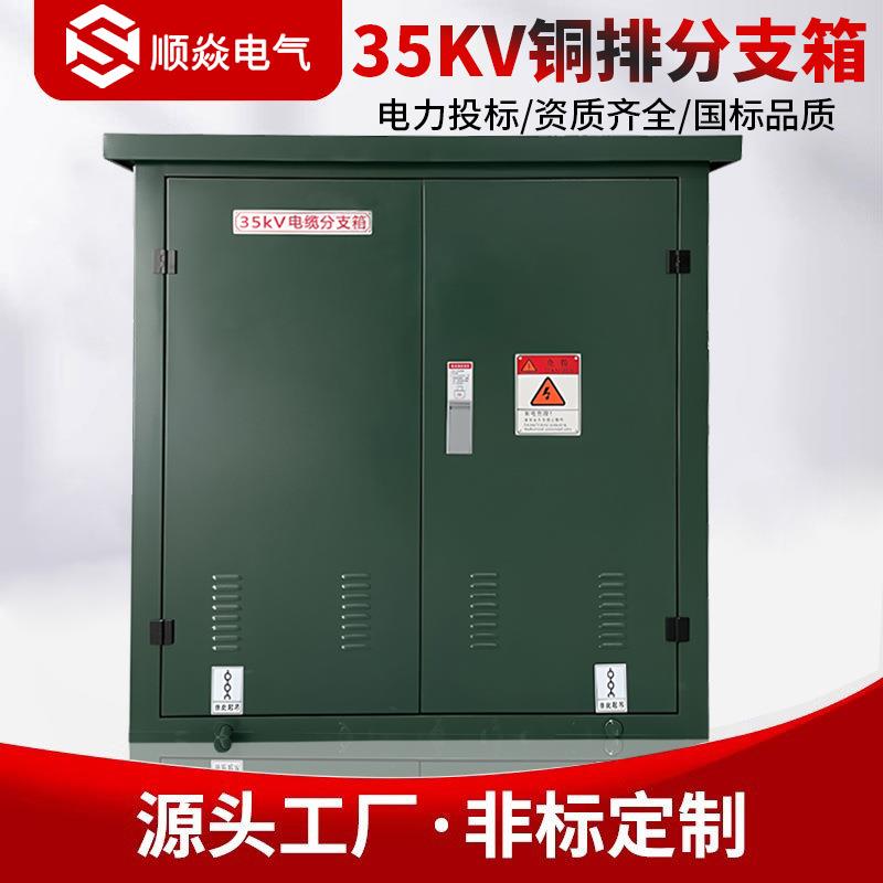 10KV-35KV户外高压欧式电缆分支箱FW一二三出铜排型分接箱对接箱