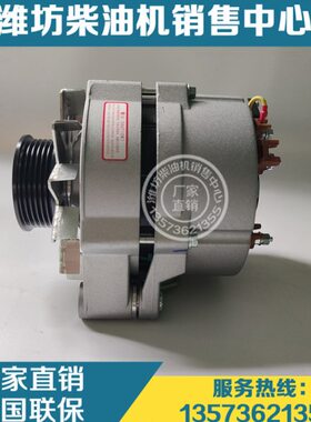 发电机1002029740潍柴动力WP10 WP12 WP13船用柴油发动机原厂配件