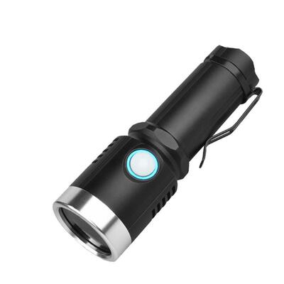 USB充电伍德氏灯10W验钞照玉照猫藓灯365nmUV紫外线黑镜紫光手电