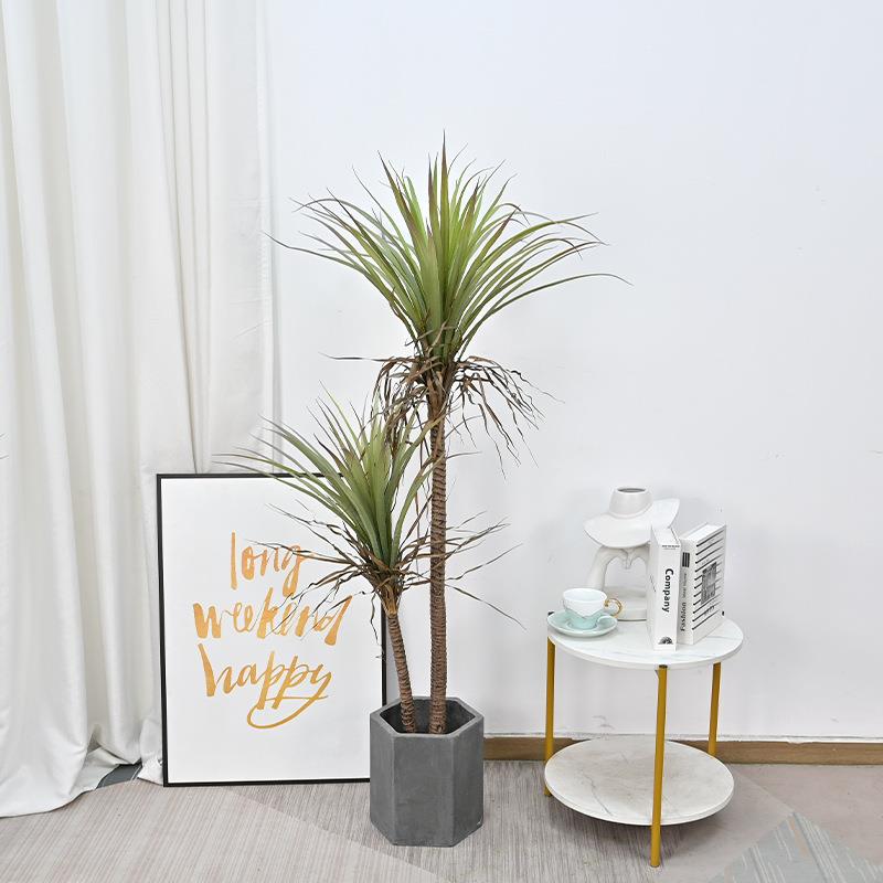 仿龙血铁树千年zj6421木血树绿真植龙盆栽落地造景装饰摆件客家居