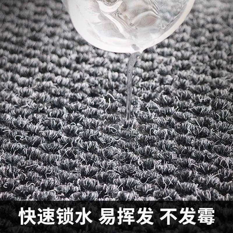 公司门口进门地垫入门酒店商户场用迎宾地毯商防滑脚大AL806666垫