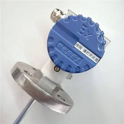 ZYSNSOR法兰式液位计ZS2600012-DN25 400MM 输出4-20MA 法兰固定
