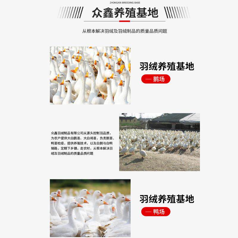 50普白鸭绒水KKE洗新标国鸭绒羽大绒衣优制选原料绒朵蓬松度高鸭