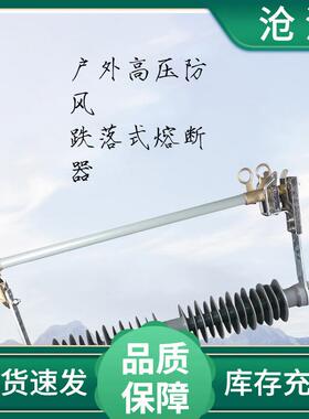 35KV户外高压风型跌落式防熔断EDH器HPRWG0-35/200HPRWG-35/01020