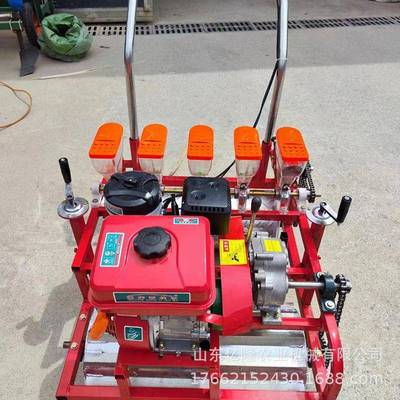 小型手推式菜籽播种机免间苗大棚蔬菜种植机沙参防风柴胡点播机