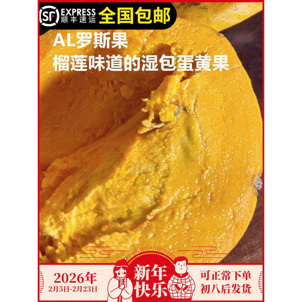 AL罗斯果苗湿包榴莲味香味的鸡蛋果蛋黄果树苗嫁接苗东莞15年老店