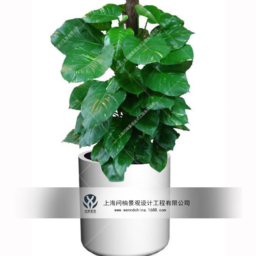 商业美陈商场植物花盆装饰玻璃钢创意几何造型花缸花艺花器