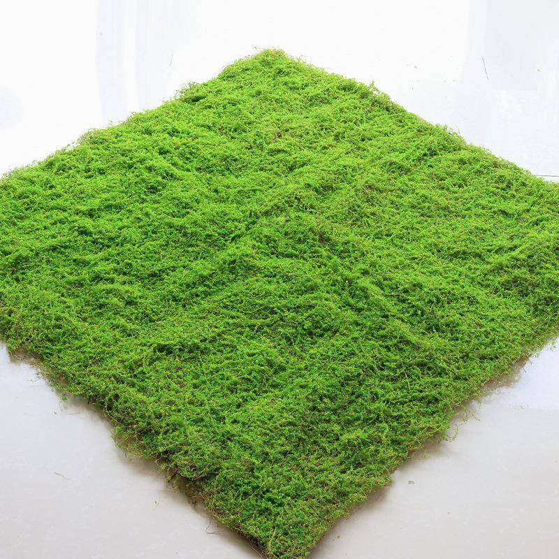 植物墙仿真苔藓绿色假苔藓青苔微景观盆景造景装饰材料草坪草皮