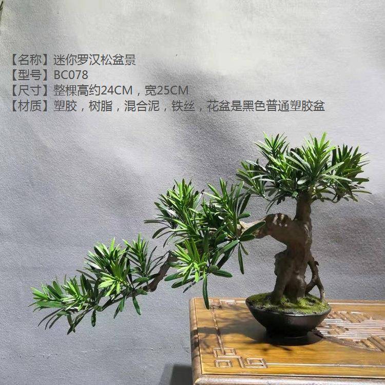 迷你罗汉松小棵仿真松树迎客松玄关桌面客厅酒店办公室摆放盆景