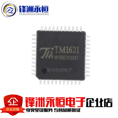 HT1621B 贴片SSOP-48 RAM映射 LCD驱动器 液晶芯片 TM1621
