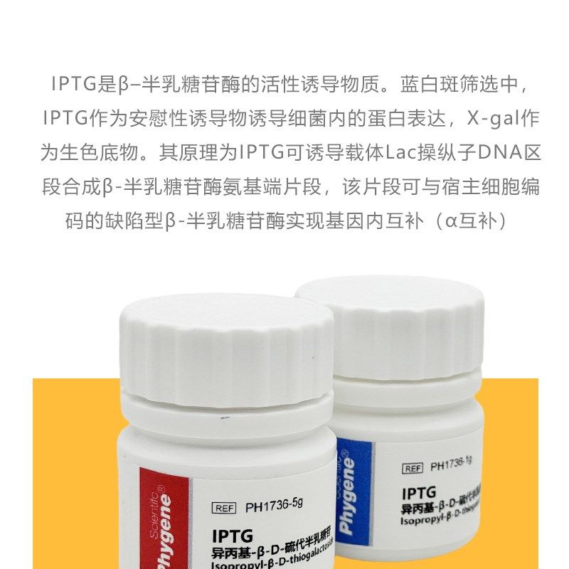 IPTG 异丙基--D-硫代半乳糖苷 实验试剂  CAS:367-93-1 纯度99%
