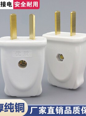 正品插头二脚两脚10a家用二通纯铜摔不烂阻燃白色二极电源二插头