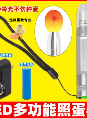 照蛋器手电筒验蛋孵蛋孵化机器专用照蛋灯种蛋检查可充电冷光LED