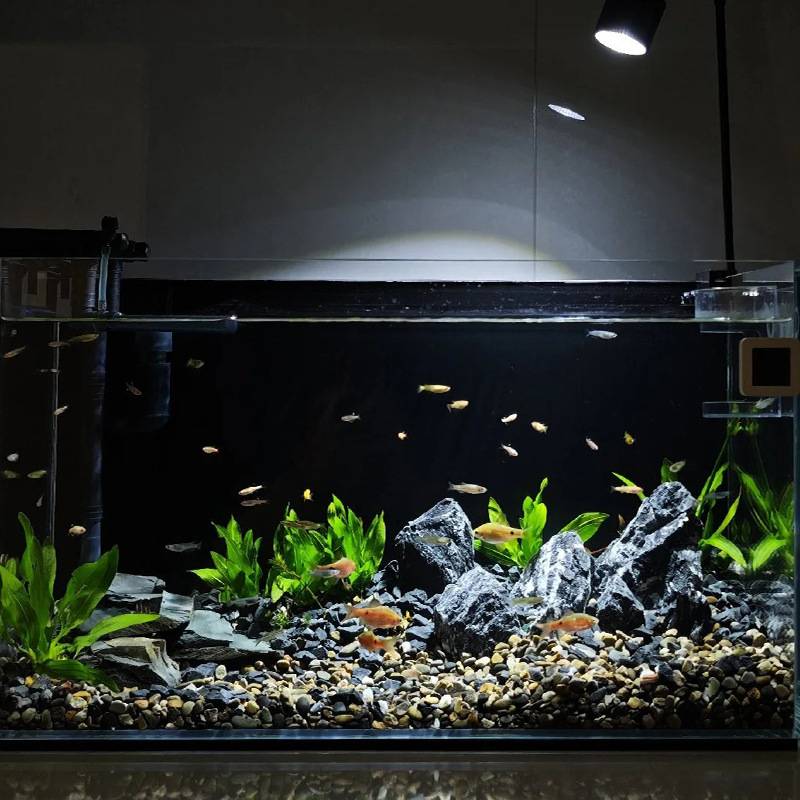 纯色深蓝鱼缸背景纸 高清海鲜池背景贴纸 不干胶水族箱装饰贴纸