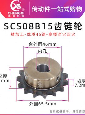 SCS高品质成型孔链轮4分15齿 08B15T齿外径65.5 精车内孔键槽顶丝