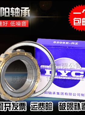 洛阳LYC圆柱滚子轴承 RN204 RN205 RN206 RN207 RN208 M