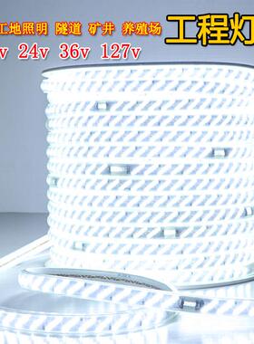 灯带LED灯条24V36户外防水超亮工程地下室隧道工地照明养殖白暖光