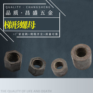 梯形牙螺母六角螺母圆螺母国标加厚T型螺母梯形丝杆螺母T12 T60