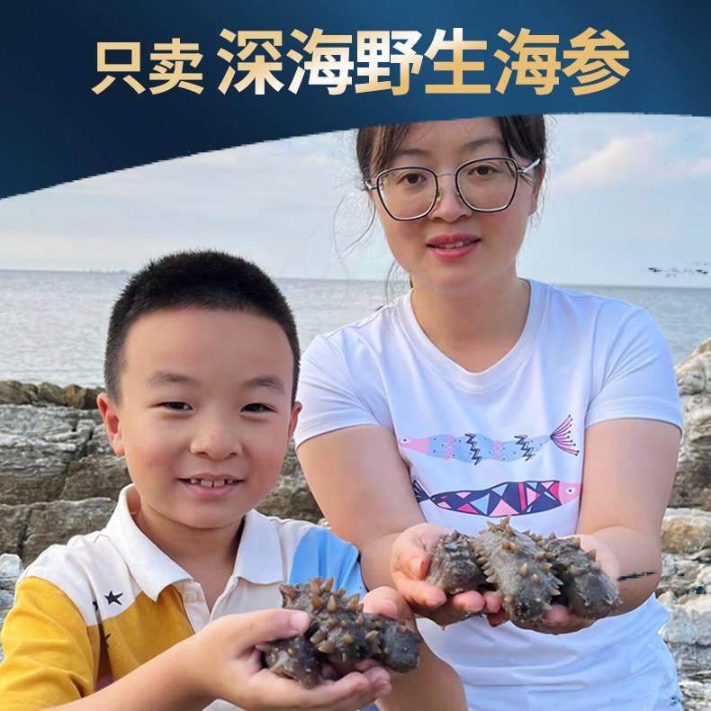 海参干货50g特价正宗长岛野生纯淡干底播非礼盒大连即食辽刺参叁,3C数码配件,USB多功能数码宝,淘宝优惠券,粉丝福利购,淘宝优惠卷