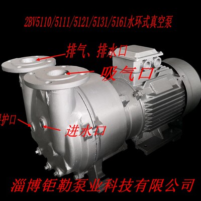 博山水环式真空泵液环真空泵 2BV5110/5111/5121/5131/5161真空泵