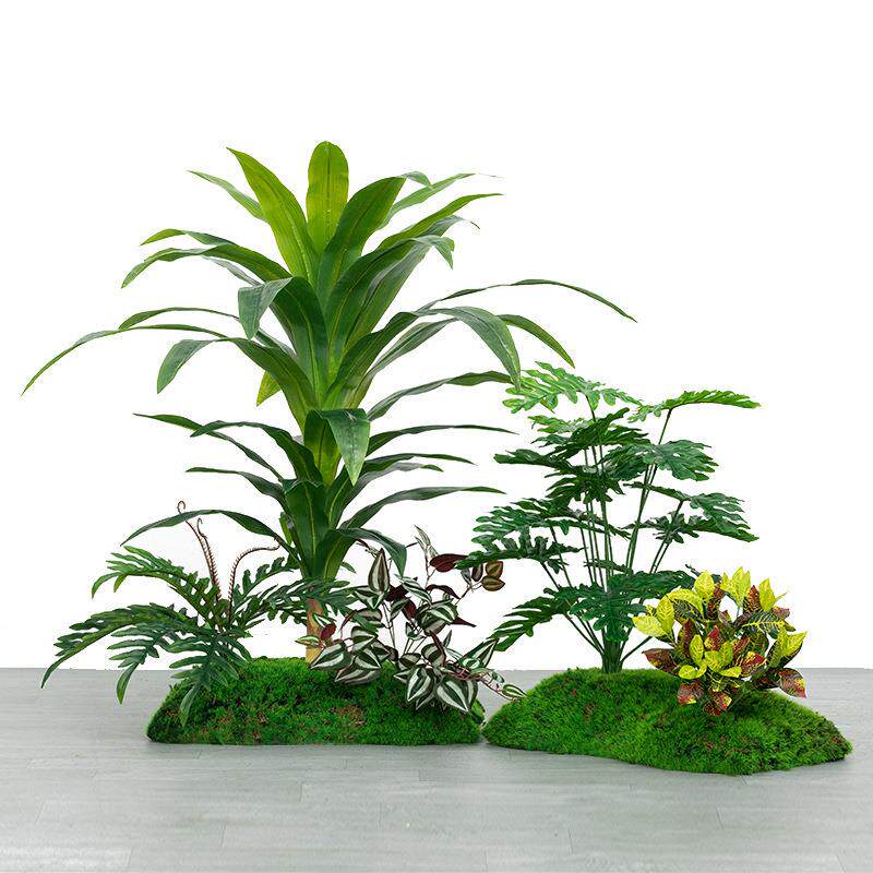 绿植造景室场内景观造景窗景布置FG6MMKy3苔藓假植物装饰梯下橱楼