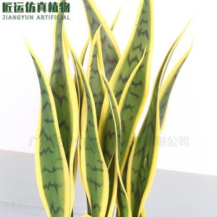 真黄边虎皮兰摆 人造外母舌虎虎皮MC-10006兰小件仿造景装饰 仿真