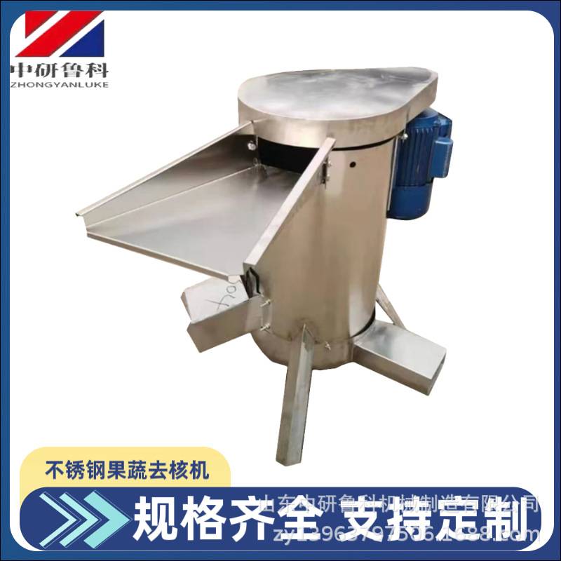电动多功能水果去核机 巴旦木核桃剥皮机 工业甜桃黑枣快速脱核机