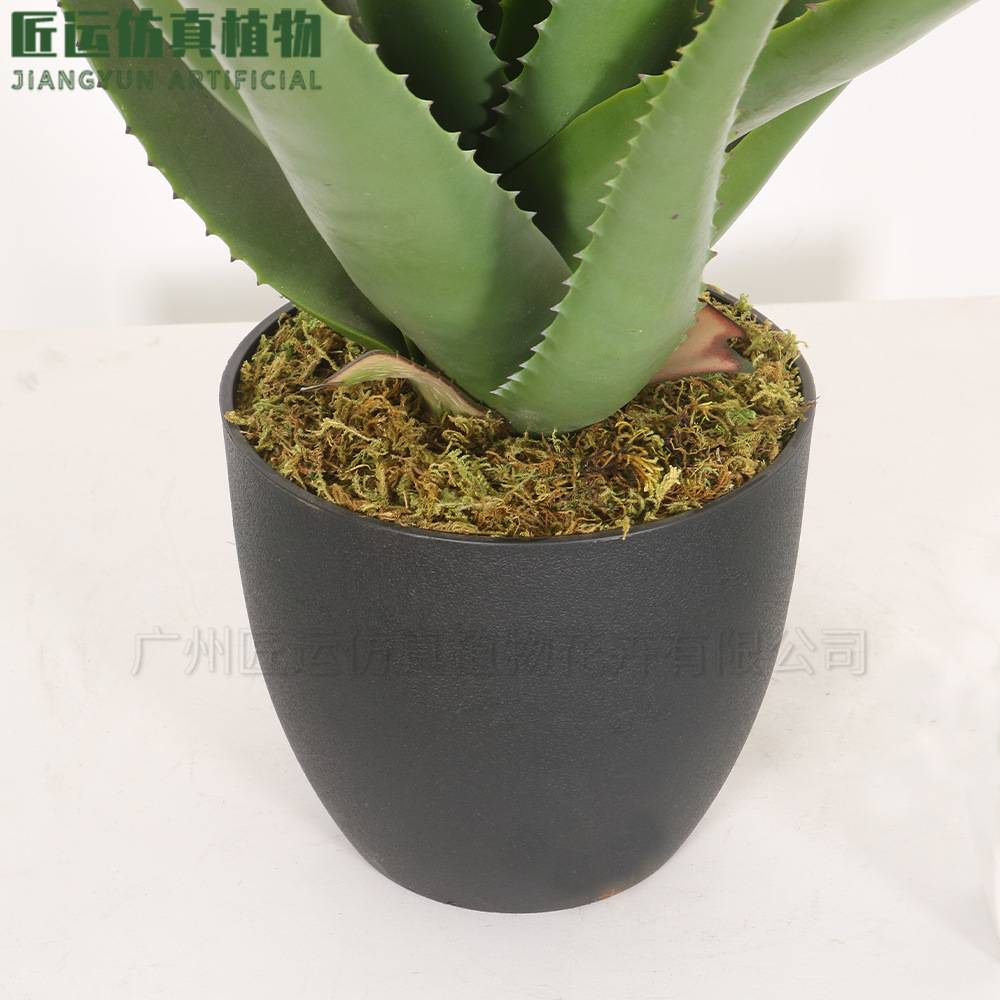 手感软胶加厚叶片高端大型多肉盆栽造景绿植装饰植物99%仿真芦荟