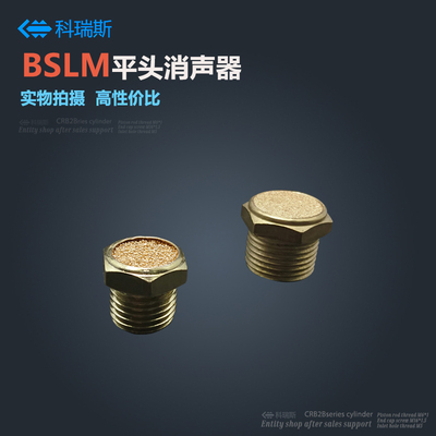 电磁阀平头消声器 BSLM-01 BSLM-02 BSLM-03 BLSM-04 BSM-06 分