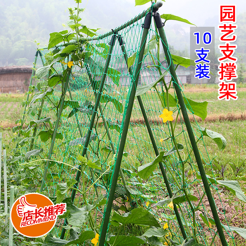 花架爬藤架花盆支架楼顶庭院葡萄架爬藤架子花支撑架包塑钢管加厚