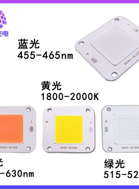 4640倒装COB集成50W灯珠12V全光谱白光粉光 红光绿光蓝光厂家LED