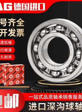 德国进口FAG轴承63307 63308 63309 63310 63311 63312 63313Z RS