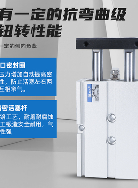 ANK气立可双轴气缸TD10/16X20X25X30X32X40X50X60X75X100X125-SD2