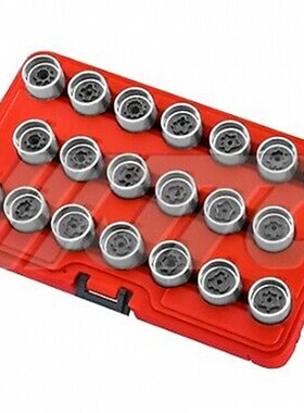 -6818进口大众奥迪防盗螺丝拆卸工具VAG西雅特兰博基尼T20213