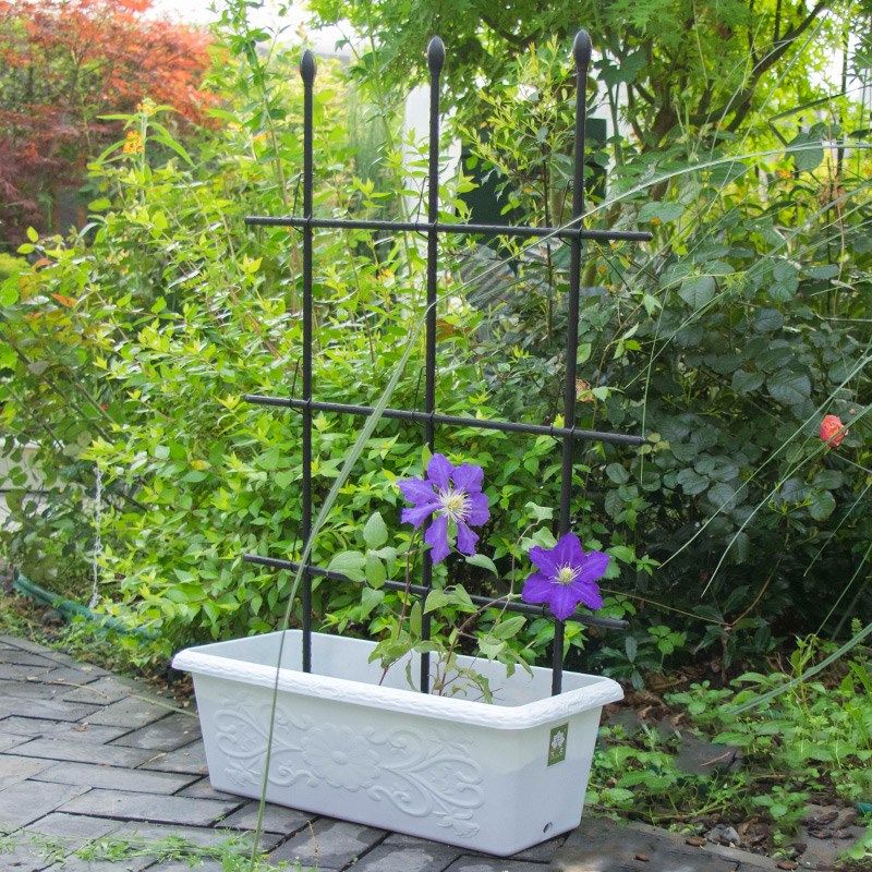 阳台花架爬藤支架杆园艺花支架月季铁线莲爬藤架花盆支架攀爬植物,鲜花速递/花卉仿真/绿植园艺,花架,淘宝优惠券,粉丝福利购,淘宝优惠卷