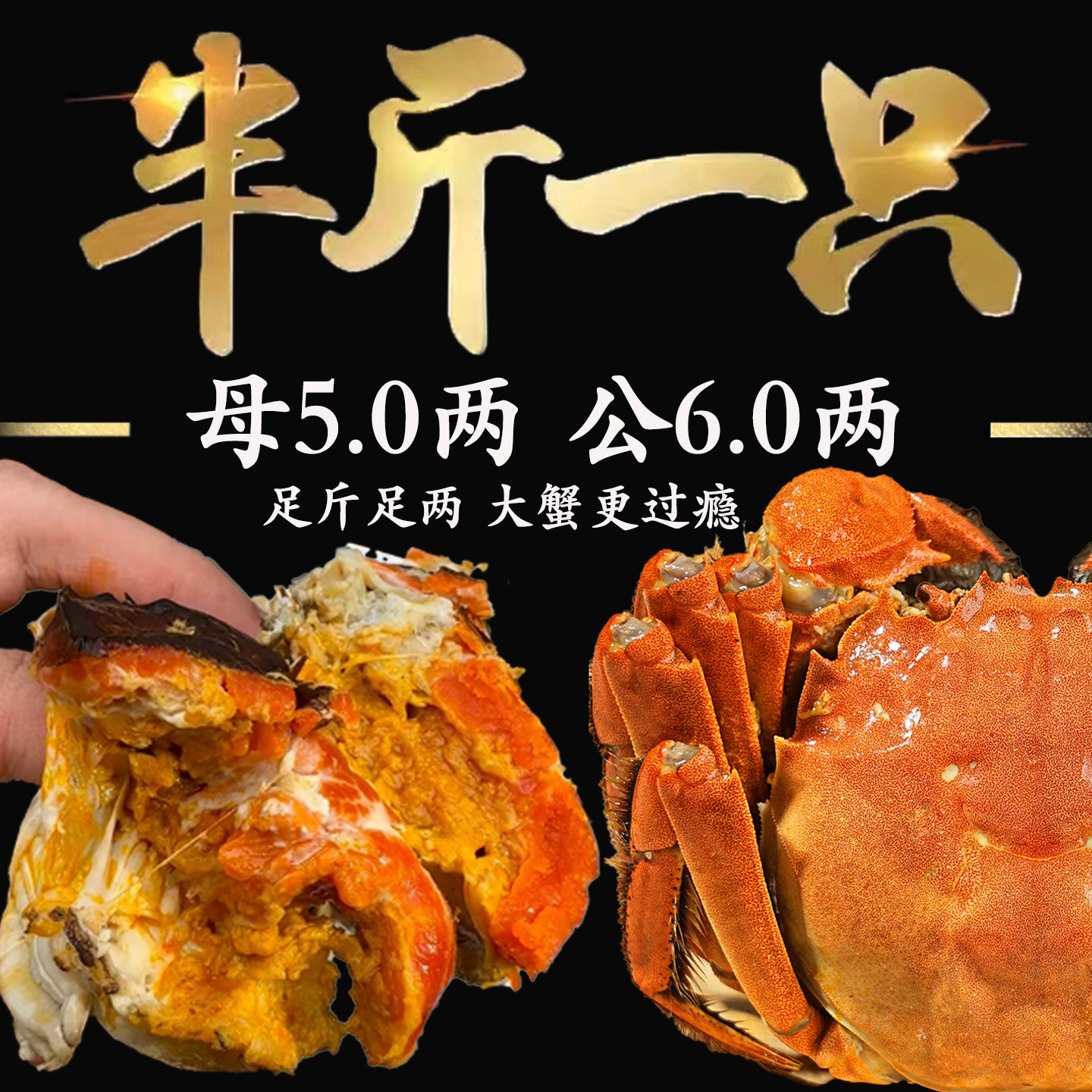 【特大活蟹】10只现货大闸蟹鲜活螃蟹礼盒官方旗舰全母蟹礼盒河蟹