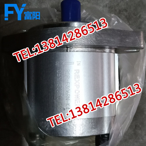 REXPOWER锐力液压油泵RGP-F306R/F310R/316 RGP-F318R-K4-C-L103
