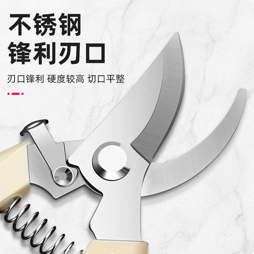 园艺剪刀果树修枝剪树枝剪省力不锈钢尖头插花修花嫁接专用工具