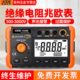 胜利VC60B D绝缘电阻测试仪500V数字兆欧表检测表1000V摇表2500V