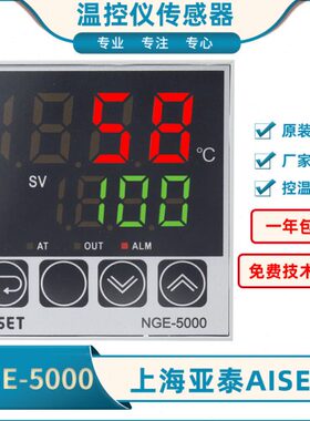 AISET上海亚泰NGE-5000高精度智能表NGE-5411V-1新款NGE-5411-1