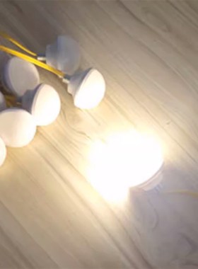 接电220V迷你小l灯泡石雕灯笼专用灯泡光源LED暖光户外防水广告灯