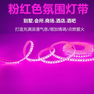 12V伏粉色灯带2835粉紫色贴片软灯条LED灯带 汽车12V防水软灯条