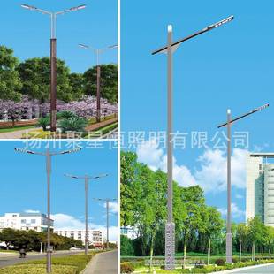 LED市电单臂路灯 新农村5建设30OZW户W米6米8米外程照明双臂路工