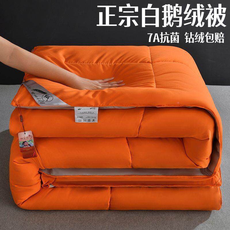优选羽绒双被95白鹅羽厂家直供毛被厚保暖冬被春秋被芯单人宿舍棉