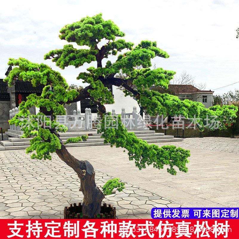 仿真松松树迎客美人店松假树型大罗汉松商场酒SS206装饰造型个性