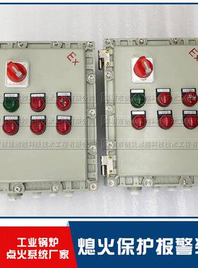 创能燃控 火焰检测器开关量燃烧机火检SCT-3