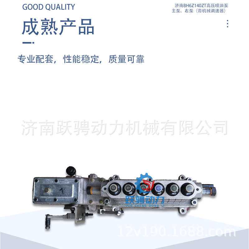 适济柴驰动PZ12V190B G12V190PZL柴油机bh6z14zt高压喷油泵主泵