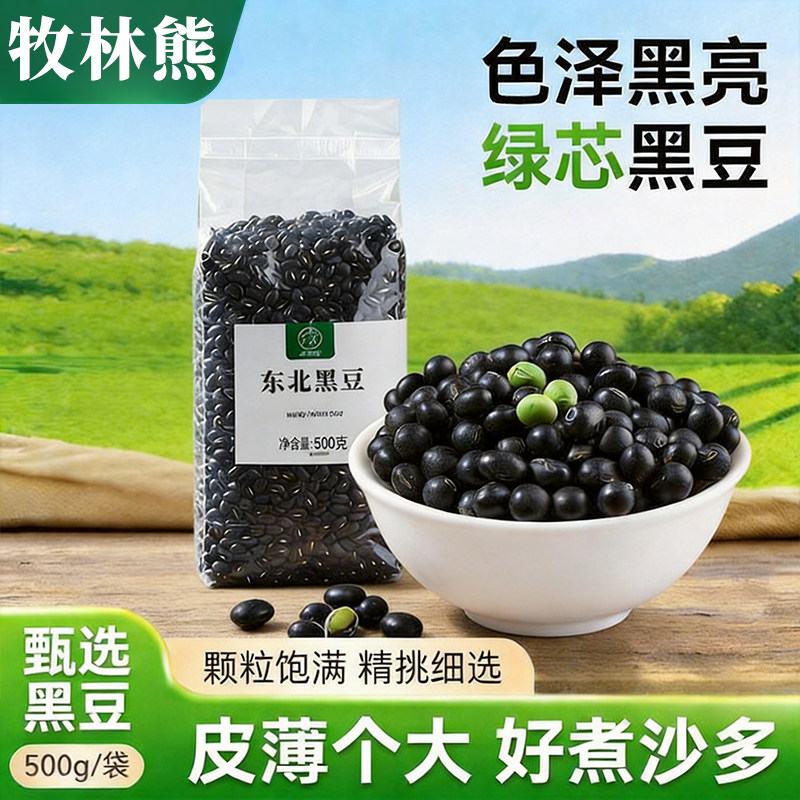 绿芯黑豆500g新货东北农家自种大颗粒黑豆打豆浆专用发豆芽醋泡豆